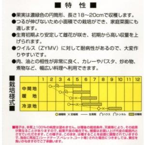 ズッキーニ グリーンボート2号 100粒 カネ...の詳細画像1