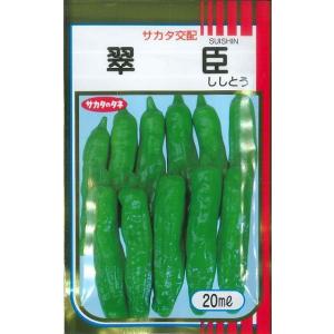 とうがらし ししとう 翠臣 20ml （株）サカタのタネ