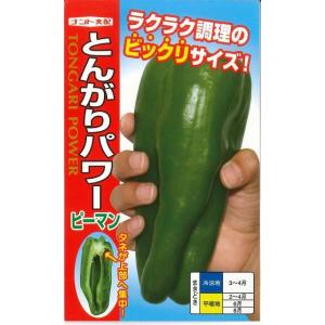 ピーマン とんがりパワー 20粒 ナント種苗（株）