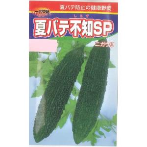とうもろこし ミルキーシュガー 85(2000粒) トキタ種苗 : グリーン