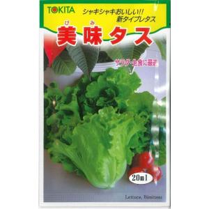 レタス ヒートガイ ペレット種子5000粒 タキイ種苗（株） : グリーン