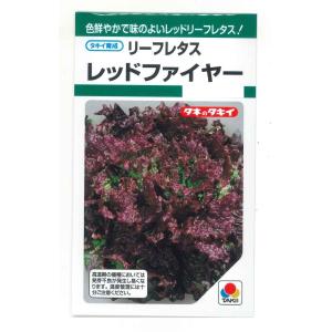 サカタのタネ（サカタノタネ） ブロッコリー アーリーキャノン 2000粒