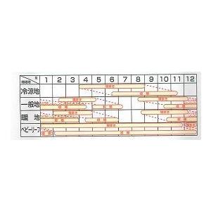 レタス ハンサムレッド 100粒 横浜植木(株)の詳細画像1
