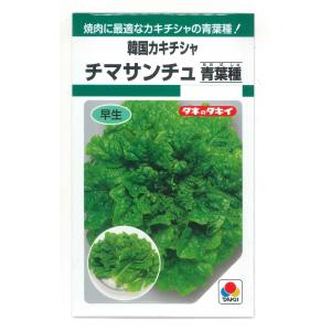 レタス リーフレタス サマールージュ ペレット種子5000粒 タキイ種苗