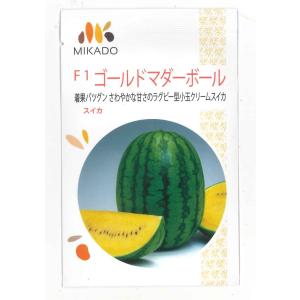 スイカ　ゴールドマダーボール　10粒　みかど協和（株）　