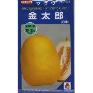 メロン レノンウェーブ 100粒 タキイ種苗（株） : グリーンロフト