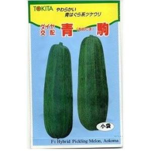 ウリ類 青駒 30粒 トキタ種苗(株)