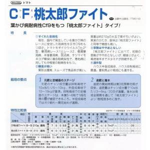 大玉トマト CF桃太郎ファイト 1000粒タキ...の詳細画像2
