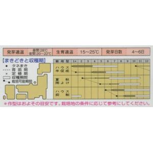 大玉トマト CF桃太郎ファイト 1000粒タキ...の詳細画像3