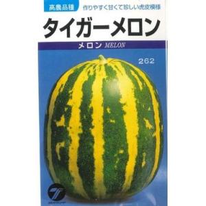 メロン2 Darkside Core / Torpedo（後味の部分が渋好みする感じのMelon系 Mix