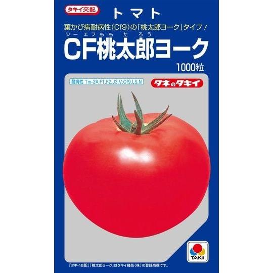 大玉トマト CF桃太郎ヨーク 1000粒 タキイ種苗（株）