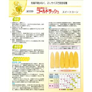 とうもろこし ゴールドラッシュ 200粒 (株...の詳細画像5