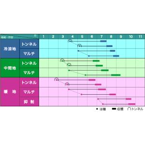とうもろこし サニーショコラ88 200粒 ヴ...の詳細画像1
