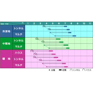 とうもろこし サニーショコラ 200粒 ヴィル...の詳細画像1