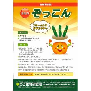 台木(きゅうり用) ぞっこん 350粒 (株)...の詳細画像1