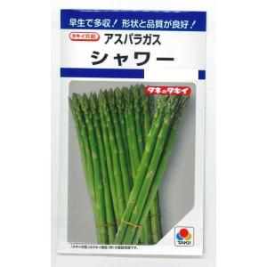 サカタのタネ（サカタノタネ） アスパラガス ハイパーウェルカム 100粒