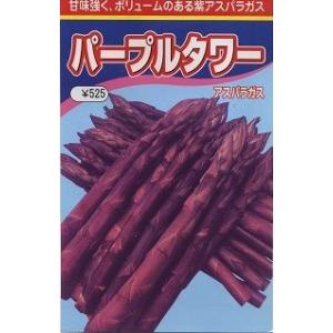 渡辺農事 アスパラガス パープルタワー 小袋 : 種苗・園芸ショップ 種