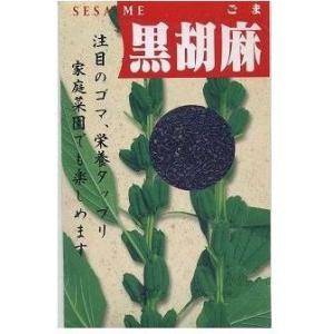 ごま 黒胡麻 5ml(約1500粒) (植物種子)の商品画像