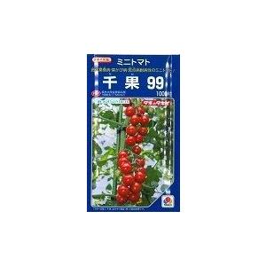 ミニトマト 千果99 1000粒 タキイ種苗（株） : グリーンロフトネモト