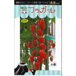 トマト　ミニトマト　フラガール　8粒　トキタ種苗（株）