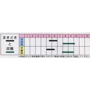 ごま 黒胡麻 5ml(約1500粒) (植物種子)の詳細画像1