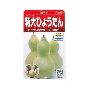その他　　ひょうたん　特大ひょうたん　約6粒　サカタのタネ　実咲