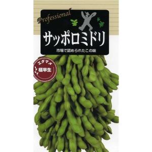落花生 おおまさりネオ むき実種子 20粒 渡辺農事（株） : グリーン 