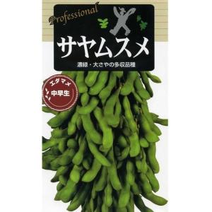枝豆 丹波黒大粒大豆 1dl(約65粒) タキイ種苗（株） : グリーンロフト