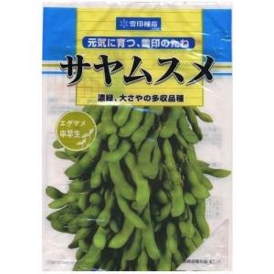 枝豆 丹波黒大粒大豆 1L タキイ種苗（株） : グリーンロフトネモト