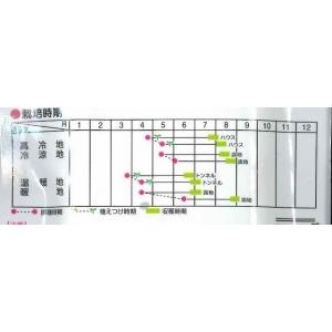 枝豆 とびきり 1L (株)サカタのタネの詳細画像1