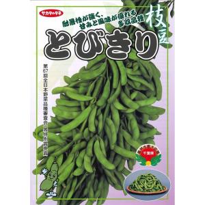 枝豆 とびきり 1L (株)サカタのタネの詳細画像2