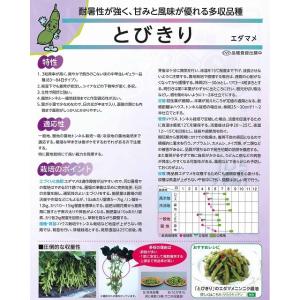 枝豆 とびきり 1L (株)サカタのタネの詳細画像3