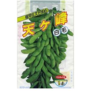 枝豆 夏風香 1L 雪印種苗（株） : グリーンロフトネモト - 通販