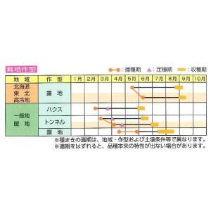 枝豆 夏風香 1L 雪印種苗(株)の詳細画像2