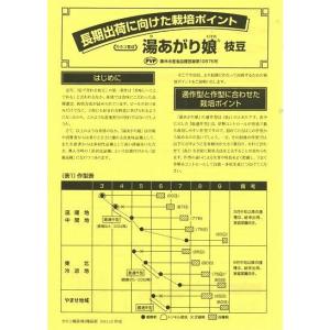 枝豆 湯あがり娘 2000粒 カネコ種苗(株)の詳細画像3