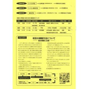 枝豆 湯あがり娘 2000粒 カネコ種苗(株)の詳細画像4