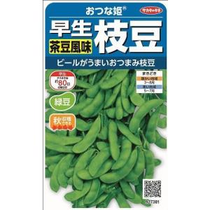 サカタのタネ（サカタノタネ） 枝豆 天ヶ峰 約55粒 （株）サカタのタネ