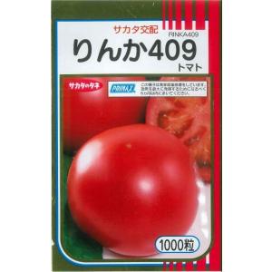 送料無料！大玉トマト　りんか409　1000粒　（株）サカタのタネ