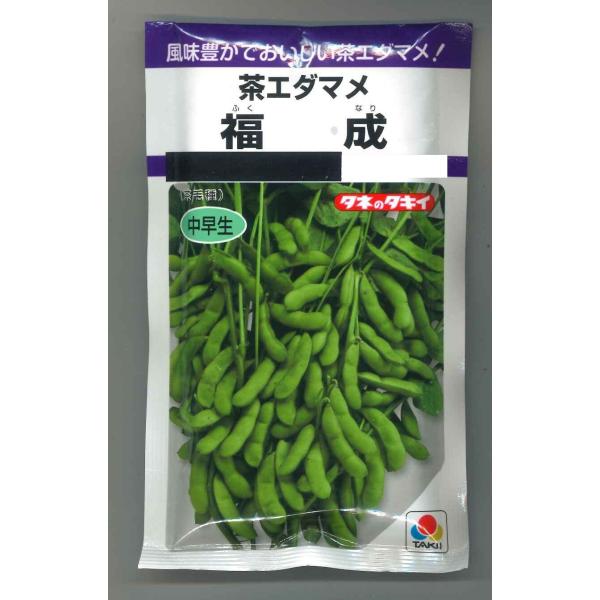 枝豆 福成 80ml (約180粒) タキイ種苗（株） PF