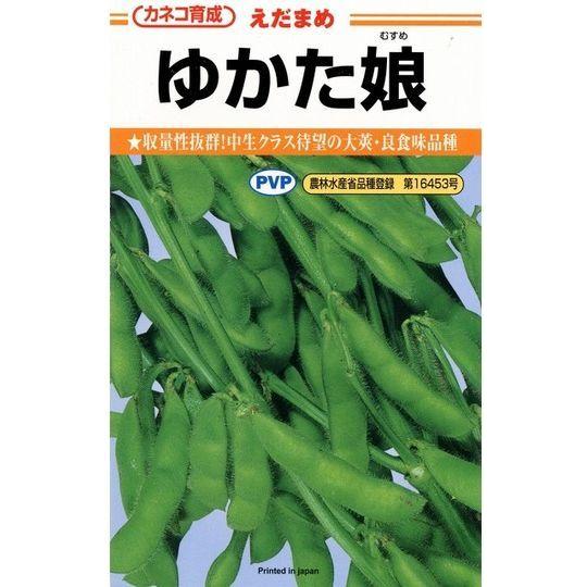 枝豆　ゆかた娘　100粒　カネコ種苗株式会社