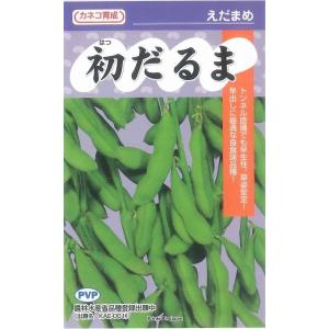 枝豆 初だるま 100粒 カネコ種苗（株）