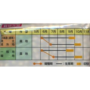 枝豆 雪音 70ml 雪印種苗(株)の詳細画像1
