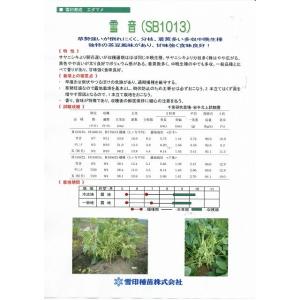 枝豆 雪音 1L 雪印種苗(株)の詳細画像2