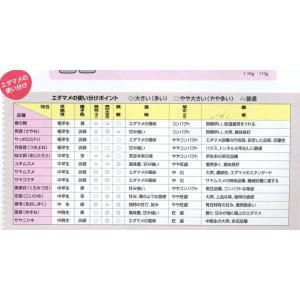 枝豆 雪音 1L 雪印種苗(株)の詳細画像3
