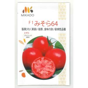 とうがらし 辛コレ 牛角大王 20粒 トキタ種苗（株） : グリーンロフト