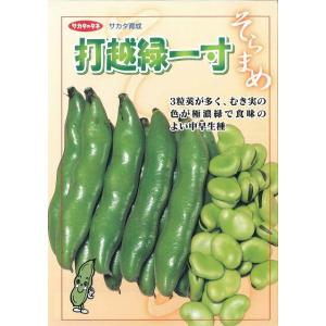 そら豆 打越緑一寸(約25粒) 1dl (株)...の詳細画像1