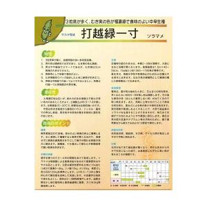 そら豆 打越緑一寸(約25粒) 1dl (株)...の詳細画像2