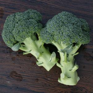 ブロッコリー 恵麟 小袋(約150粒) トキタ...の詳細画像1
