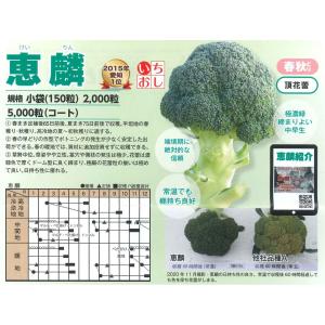 ブロッコリー 恵麟 小袋(約150粒) トキタ...の詳細画像4