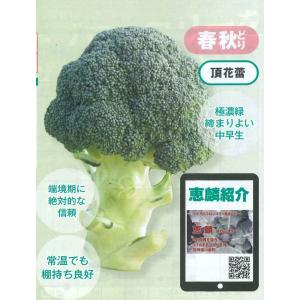 ブロッコリー 恵麟 小袋(約150粒) トキタ...の詳細画像3